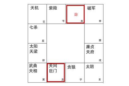 命主巨門男|巨门星坐守命宫的相貌特征、性格特征、命理特征、组合喜忌 – 紫。